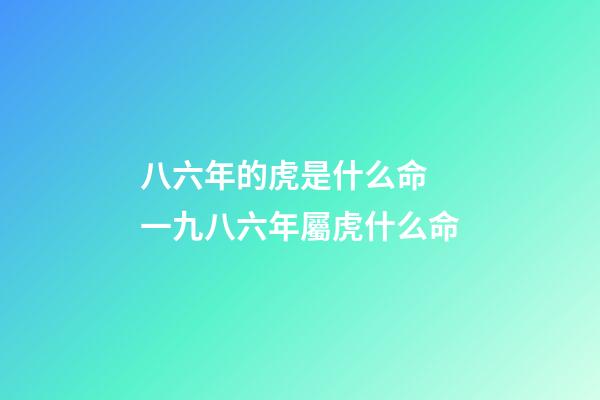八六年的虎是什么命 一九八六年屬虎什么命